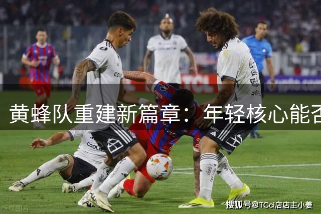 黄蜂队重建新篇章：年轻核心能否带来惊喜？